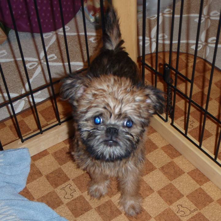 D81c30a3 eb10 4077 bd54 466c85111d3b 1646383190320