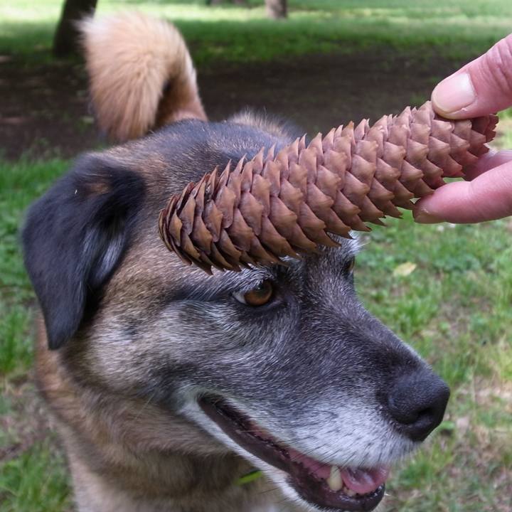 D81c3a87 b7b3 467f 9d45 38ba23104ace 1582039161499