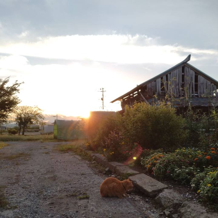 D81c54a5 015a 41cf 985e c3581e7e55a8 1695588942568