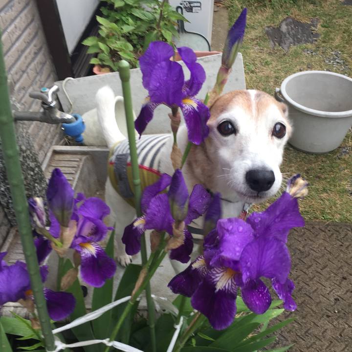 D81c56dc bfed 43a1 9e41 816f920fe0a9 1523920824964