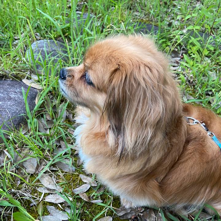 D81c5c67 8a5c 481d abc7 96e7af2cd25f 1655154741972