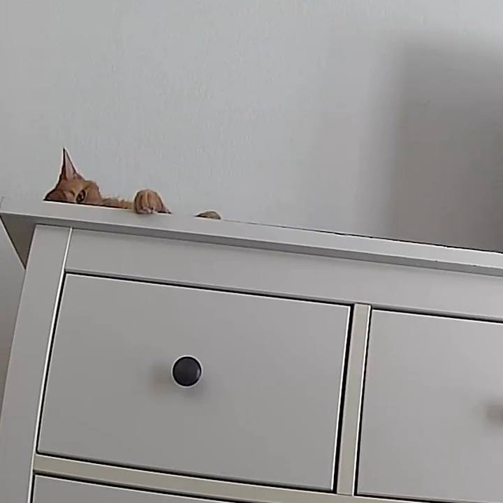 D81c6d6c d984 4135 8269 111d3d4a997e 1743911024410