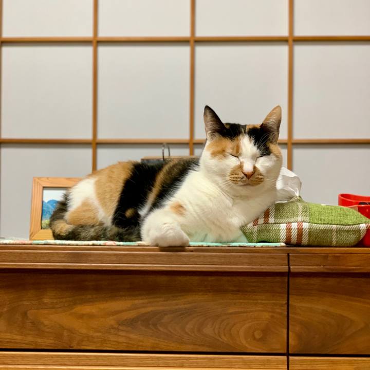 D81c6e82 1b7b 4731 aa52 721d9a9b099d 1772780441370