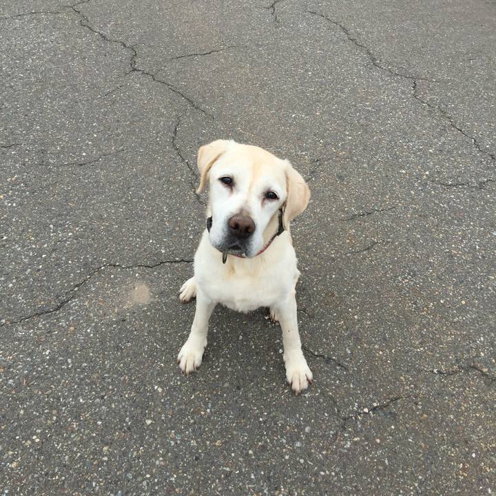 D81cd1da 83cc 421b 9751 c86ec861e6dd 1533325643587