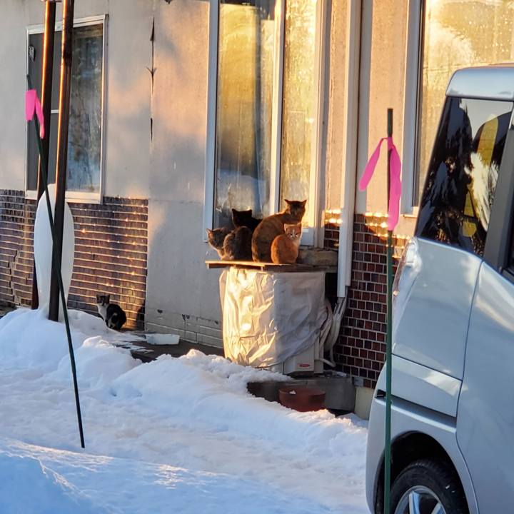 D81ce2f0 2137 4c54 a495 d572cd78c953 1704384603919