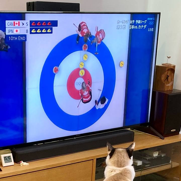 D81ce8d1 e793 4a73 a6fd 1d875b5df8e9 1644629323181