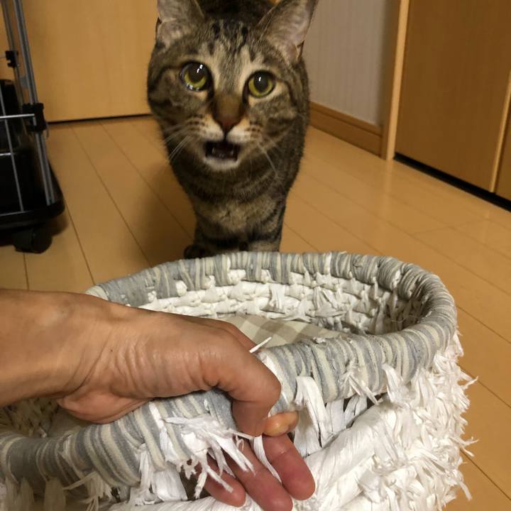 D81d2914 2464 4bd5 a20d ebe51be68e3f 1631859401138