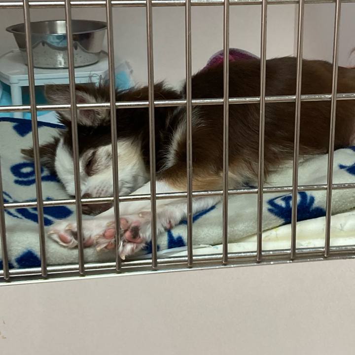 D81d3fcc a658 4879 a45c b73cdb479715 1642850566712