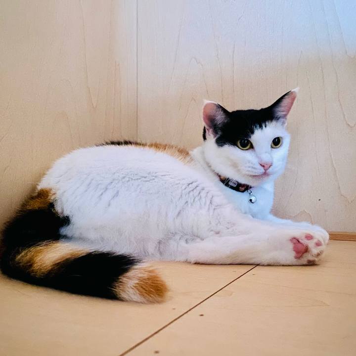 D81d407a d5a3 4a2a 8b6c 96fd8e7811c8 1661256050980