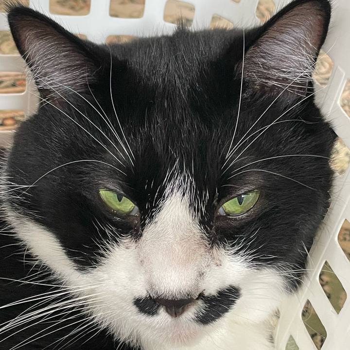 D81d7b64 64bd 482d bd1b f9da55b43ca5 1757554661936