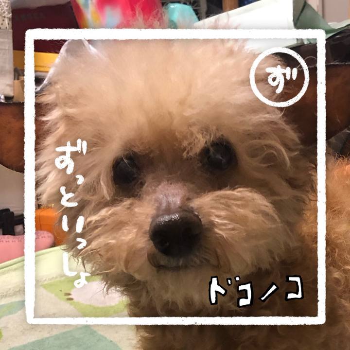 D81da6a4 e112 4981 9c19 61463c2a5b11 1685975695730