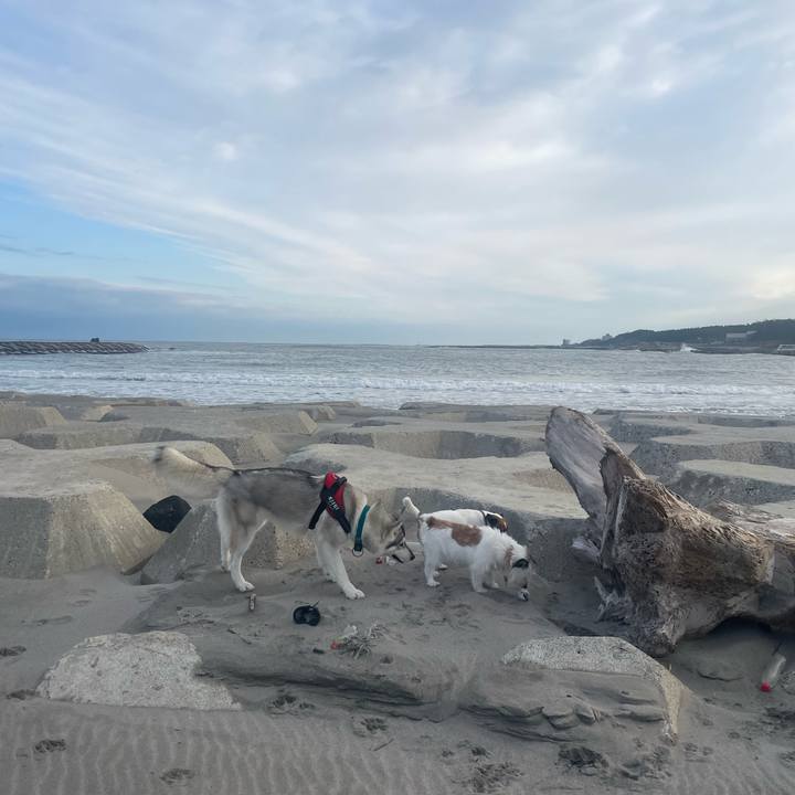 D81db07e 988b 4ed2 ab99 2bcefa09fad4 1699746535859