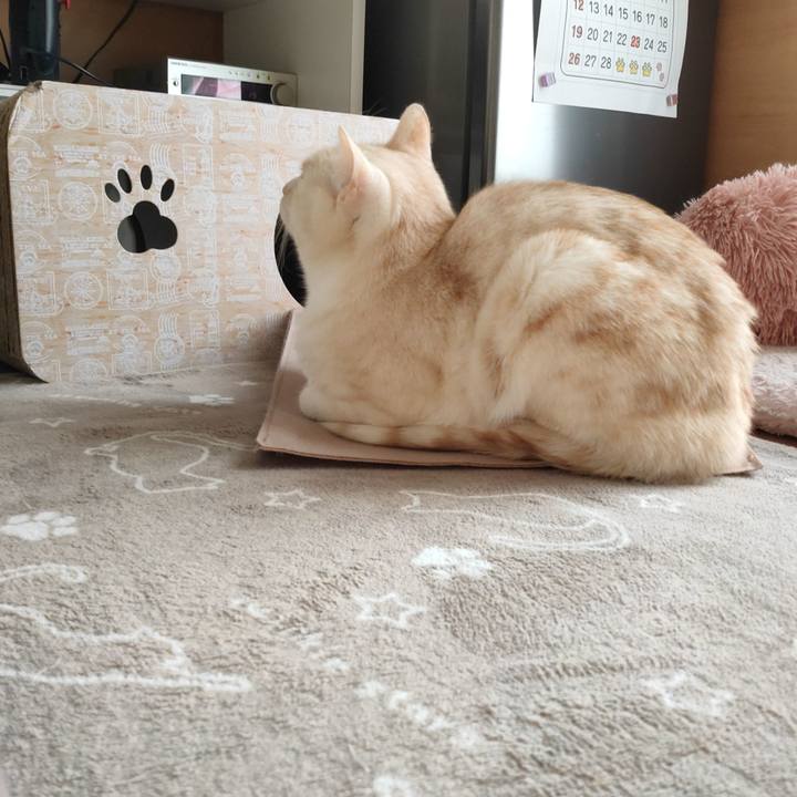 D81df68a a75d 4f86 a281 881ff6d2ffbf 1677025187774