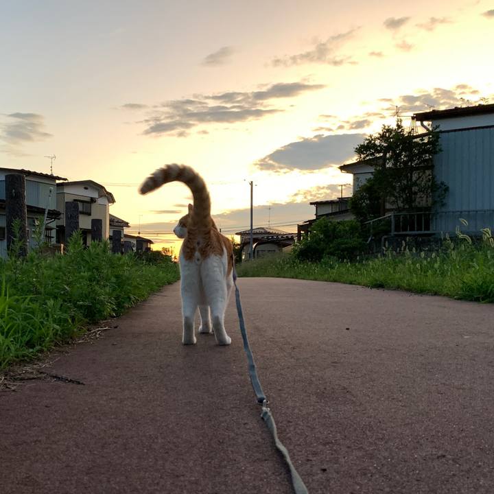 D81e0bb2 7f26 4d21 a717 2d0c07884b12 1568107195094