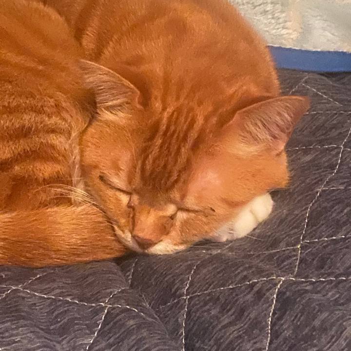 D81e6073 3a56 490e a53f adb8fdd388d5 1587920970185