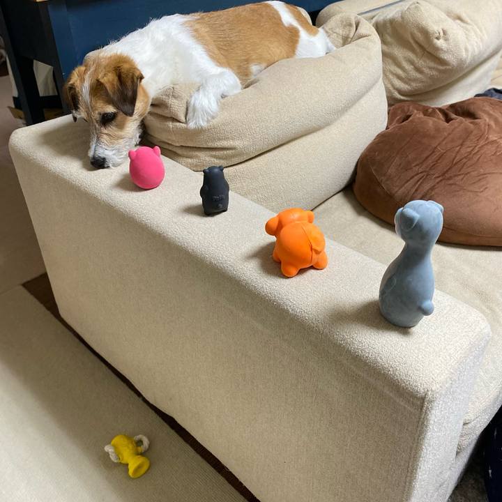 D81e9bce b5b9 44f8 9a2e 009c2368a6ec 1685450719754