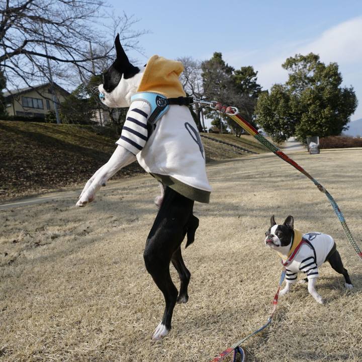 D81eca17 9ef7 49d5 b8d4 9b777e49ec2e 1518181146251