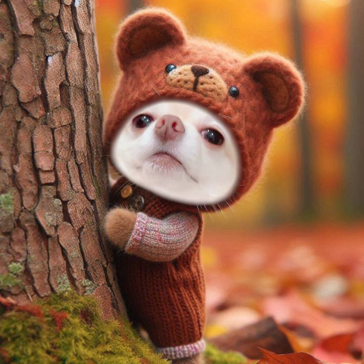 D81eea50 181c 4b8e 886b 5170c03507ca 1760527531228