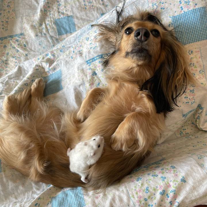 D81f0448 912d 4bf4 9a6b b4fc571a0a00 1703484952720