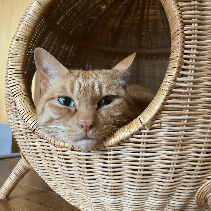 D81f1c90 331e 40d9 8c44 5c7f638e2c63 1679788698119