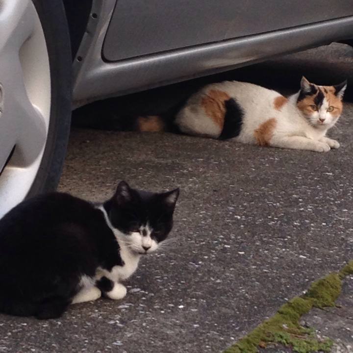 D81f34cb 9a68 46df 839c 2414ec7cd342 1510318341451