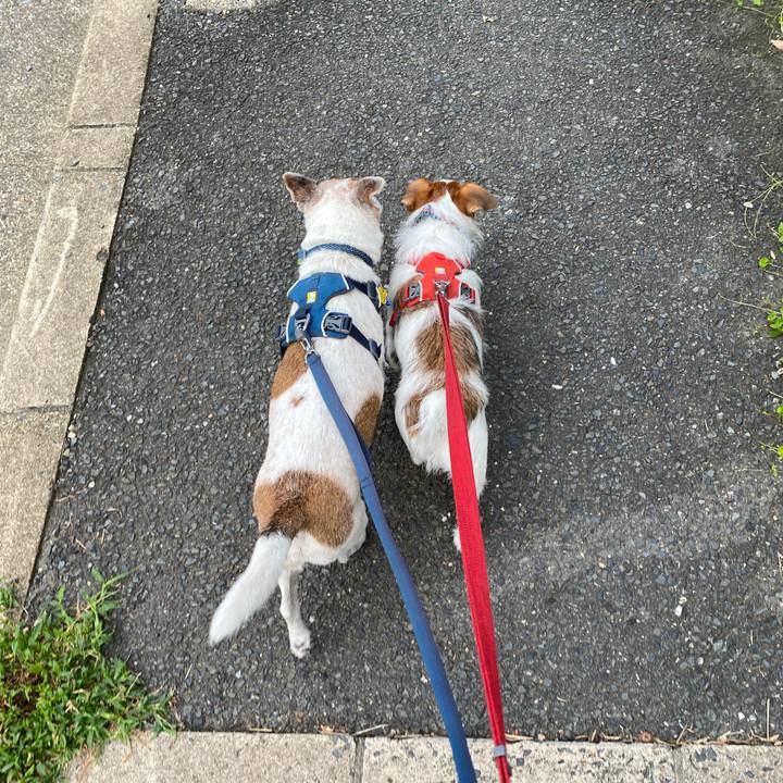 D81f38b3 4993 4ad1 98fe 6f2673ed43e0 1661471642712