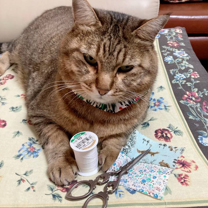 D81f7db0 9b2f 4dee ac55 64f1eb5b6012 1699057263392