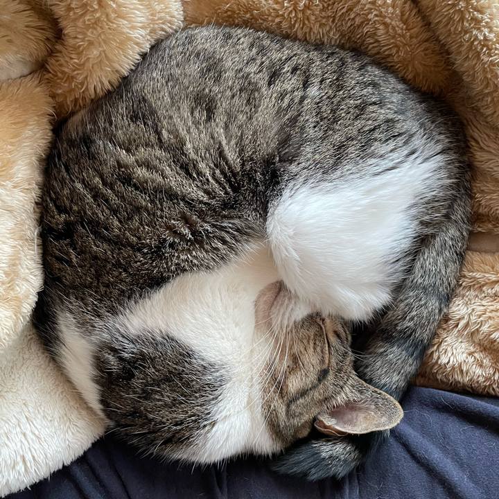 D81fb7a5 e4da 4b5c aa02 02b1e024b298 1643854590524