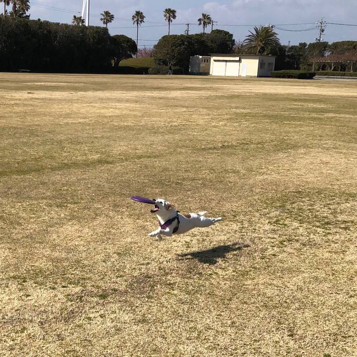 D8202dd2 ee67 41a7 9154 102863c02dbf 1551513575766