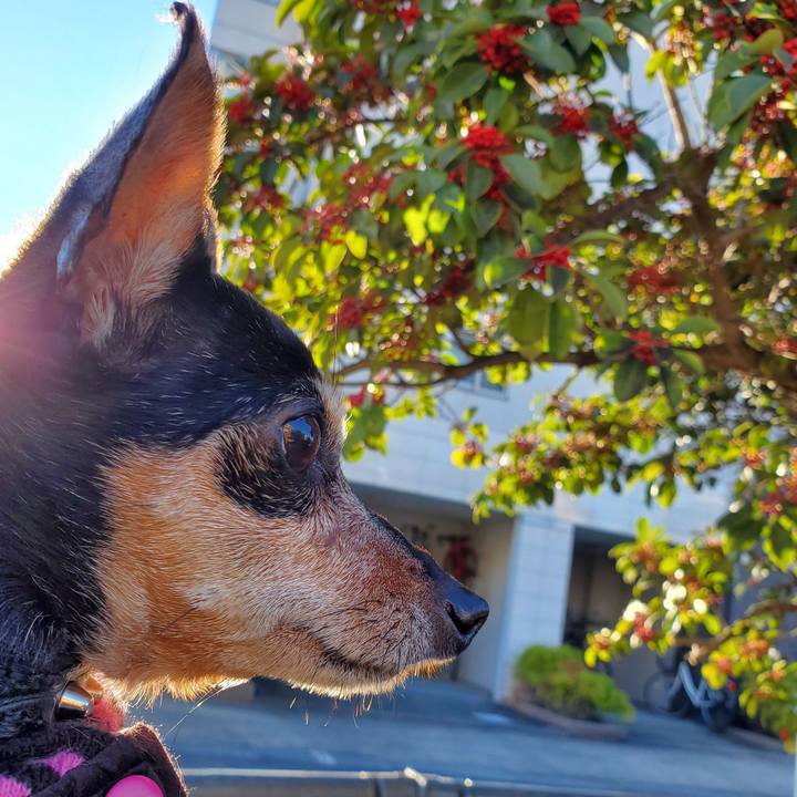 D82031dc 45c6 4e54 befa 1d88dbf5bdee 1671349944852