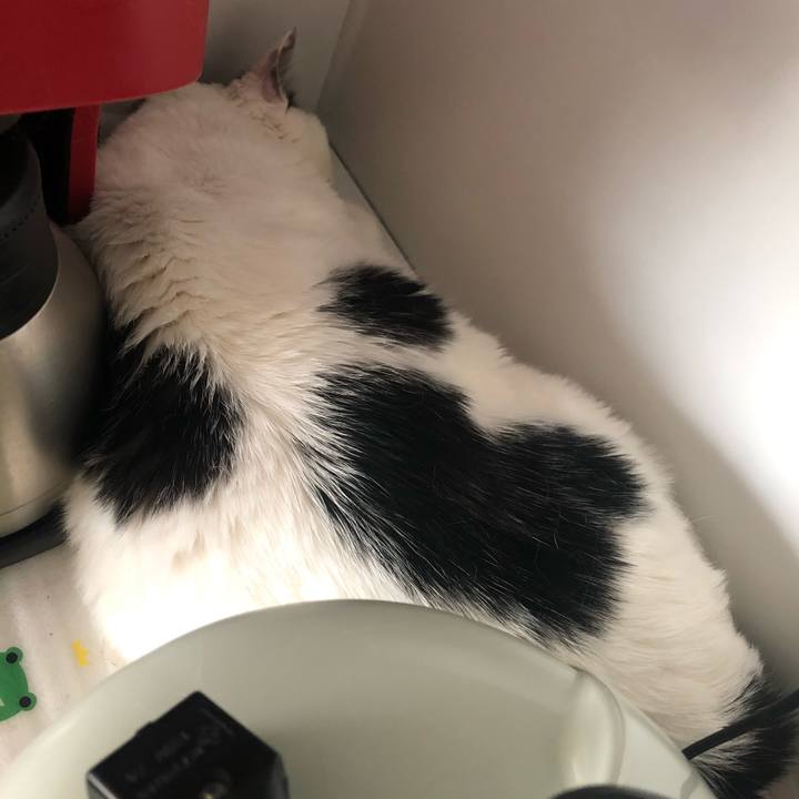 D820530a ea33 4e43 abea 732c8d7995af 1592723472451