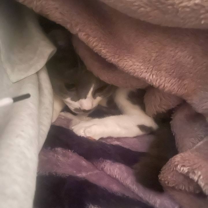 D82054c8 d79d 489a b016 d4edb812532d 1698097781214