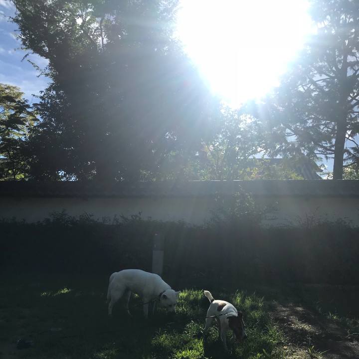 D8205df2 f73f 4c46 80c8 bbc857b6d15f 1534807843791