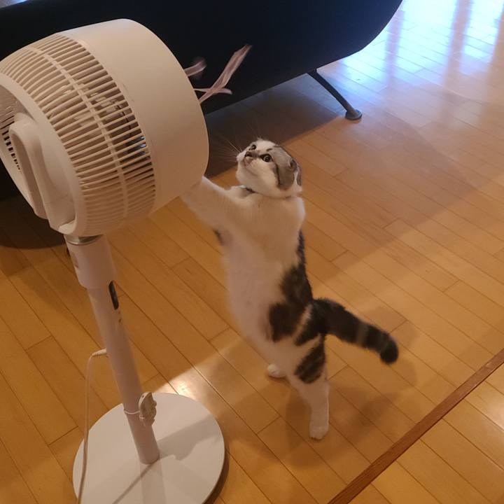 D82069da 3e2d 43c1 be24 b3dfcba1b703 1723020537841