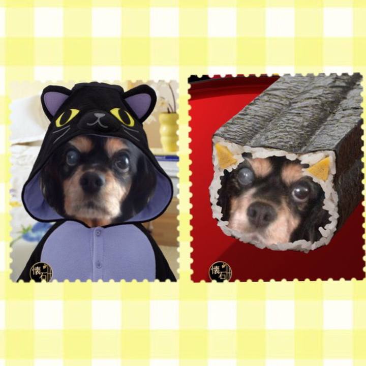 D8206e4c 1720 4202 a296 6062d1a8da44 1508943414474