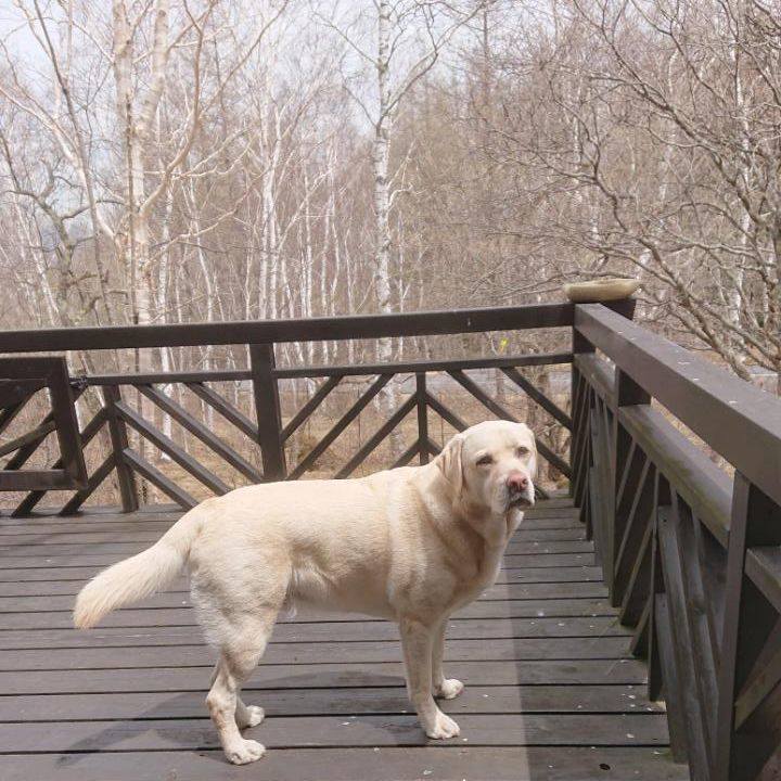 D820d089 a0fc 476a 8195 f0bac9ac59ea 1588482083890