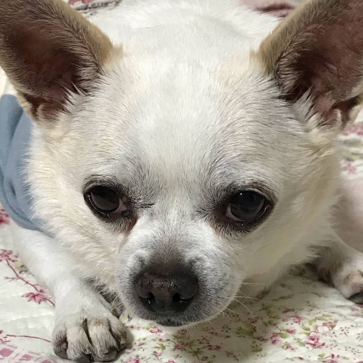 D820e7fd 511b 470e b68c d27317fe22c8 1615290375913