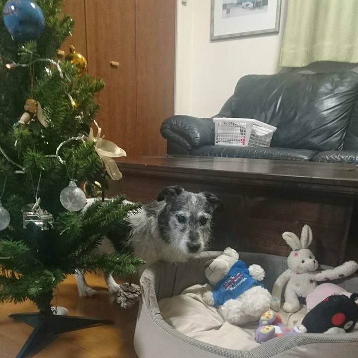 D820eced b38b 4ce8 9c49 9fb54d47ec79 1513580739957