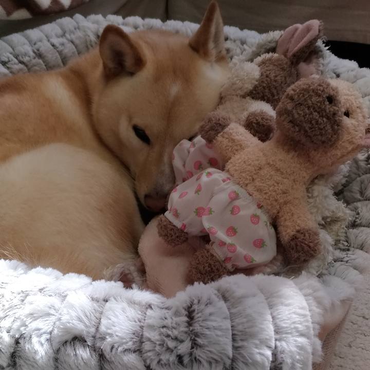 D8214564 41c3 4d34 9ac5 17e72b17404f 1580865978789