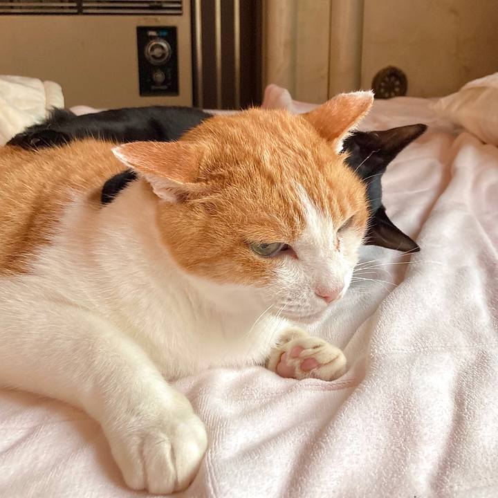 D82146aa c313 4d91 a5f3 ad595732f3be 1632196890614