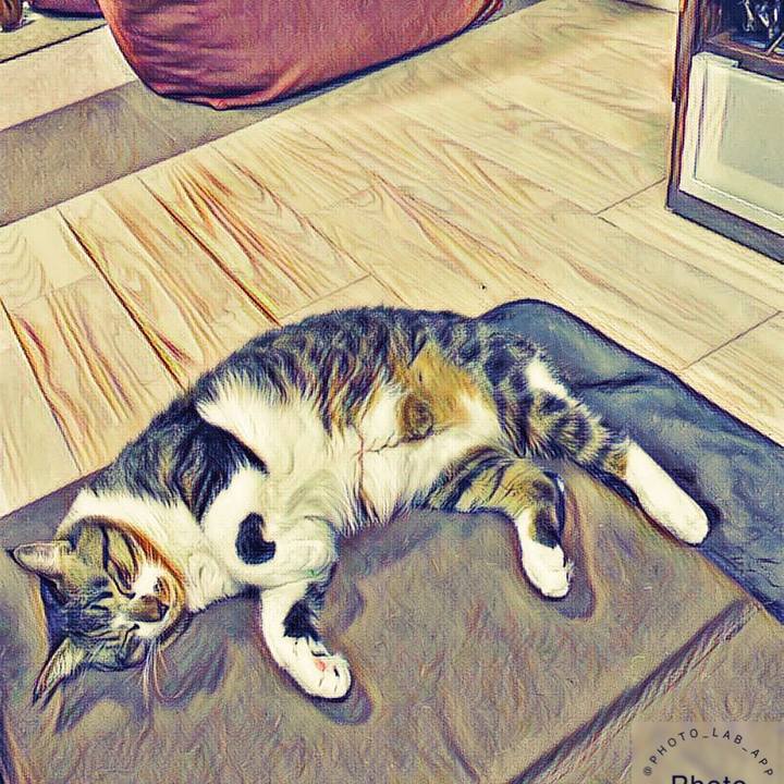 D821de51 6d64 440f 861b 444d985aadac 1542609154239