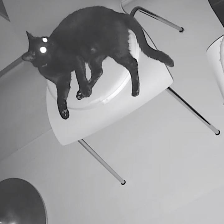 D8222876 4c35 426e abcd d7c53e0f6c6f 1537179515686