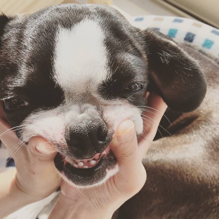 D8224038 a217 46a7 bf1e b2d39956f2f6 1519948076542