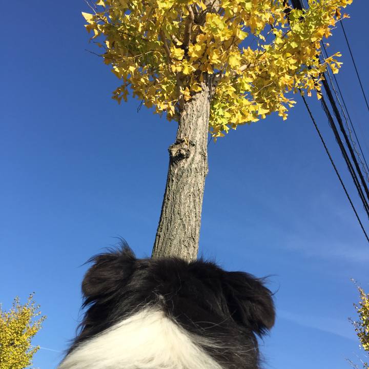 D82247b5 1504 44f1 88f2 614b4e0faba9 1542068970137