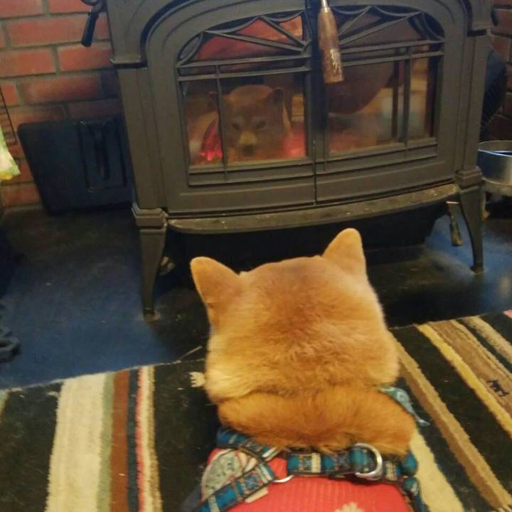 D82269ec 163a 441e a309 a1c039b4f06e 1546515078923