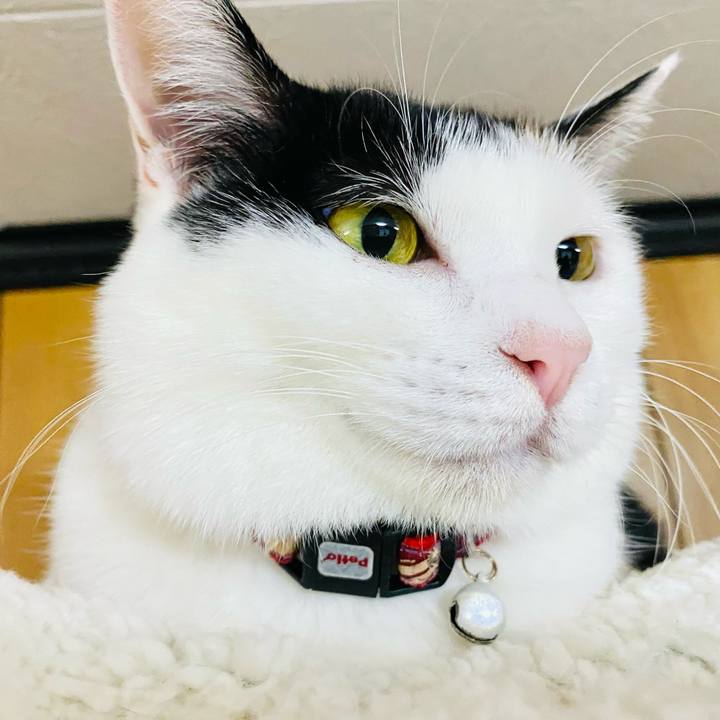 D8228b24 d3fb 4c39 85a5 2cf7bb09edde 1670937446062