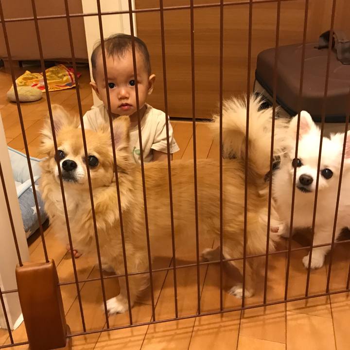 D8228ce2 f84f 4b18 b8af eb08d4d189e2 1537405622378