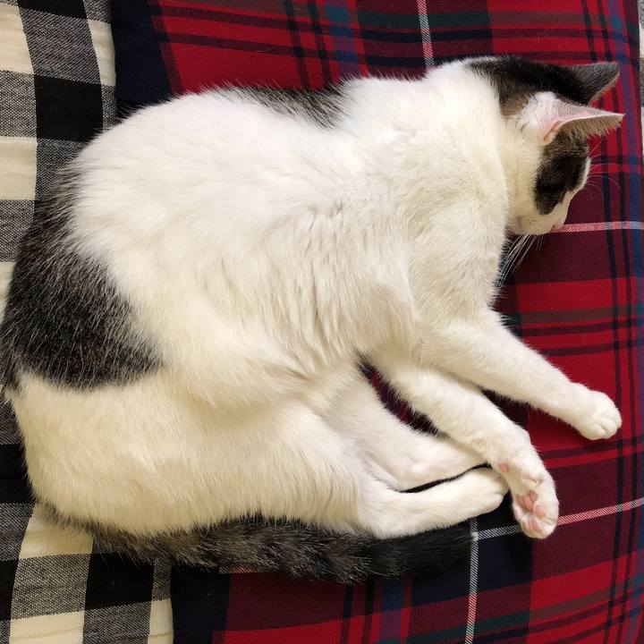 D822c9fd b8c3 4436 a55e a3b016d24d37 1629589054887