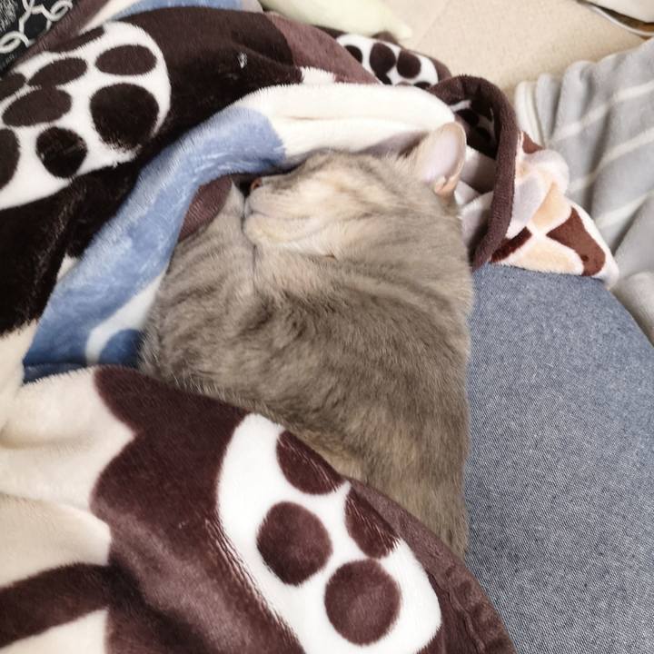 D822eb55 24c5 4052 af26 17ed9ed9f29e 1587614286321