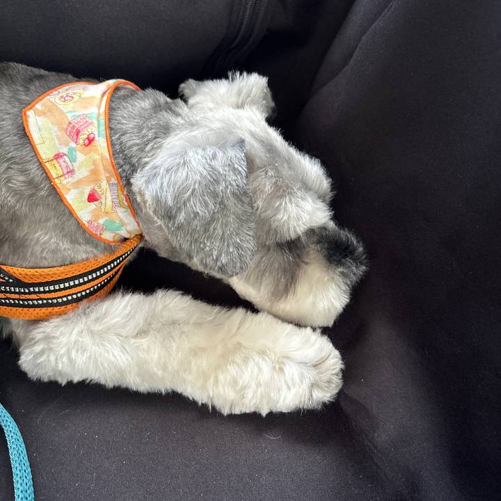 D822eda7 0ccd 4480 affc 0723f0b9cbe4 1708148312195